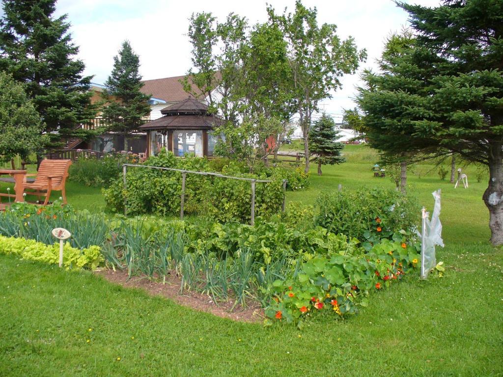 Gite Parfum De Mer Bed And Breakfast Pabos Dış mekan fotoğraf