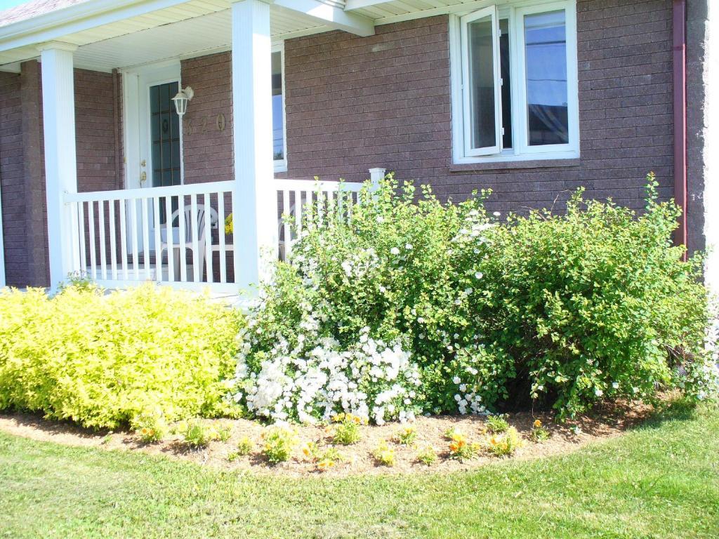 Gite Parfum De Mer Bed And Breakfast Pabos Dış mekan fotoğraf